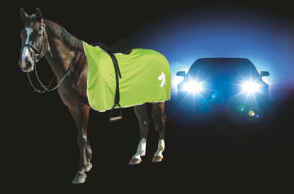 Afbeeldingen van Signalisatie veiligheidsdeken ruglengte 135cm