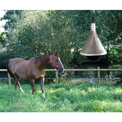 Afbeeldingen van Dazenval  TaonX -ECO-