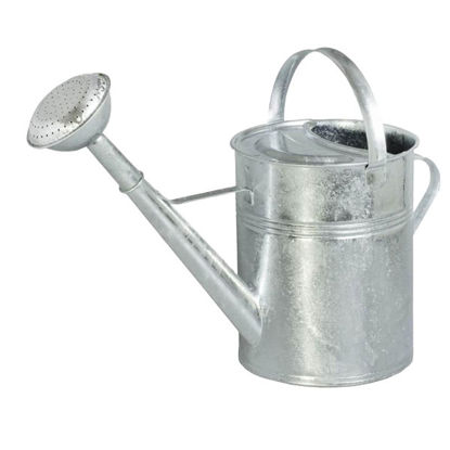 Afbeeldingen van Gieter verzinkt, met broes, 9L