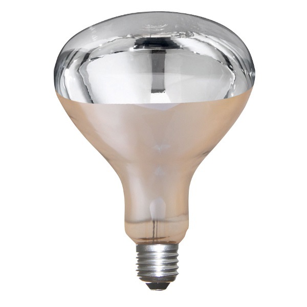 Kerbl Producten/warmtelamp 150w wit