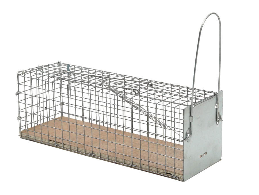 Protect Home Producten/vangkooi ratten 1 stuks