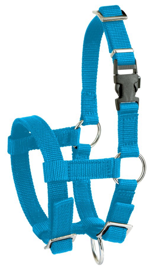 Producten/alpaca halster blauw