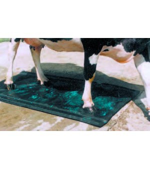 Producten/hoefmat shoof 180 x 90cm